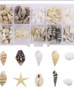 schelpenset-epoxy-uv-resin