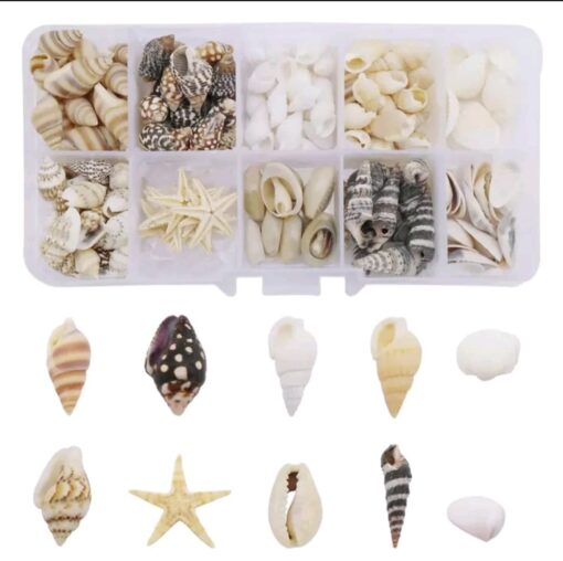 schelpenset-epoxy-uv-resin