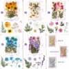 Lets-Resin-Dryed-flowers-Foil